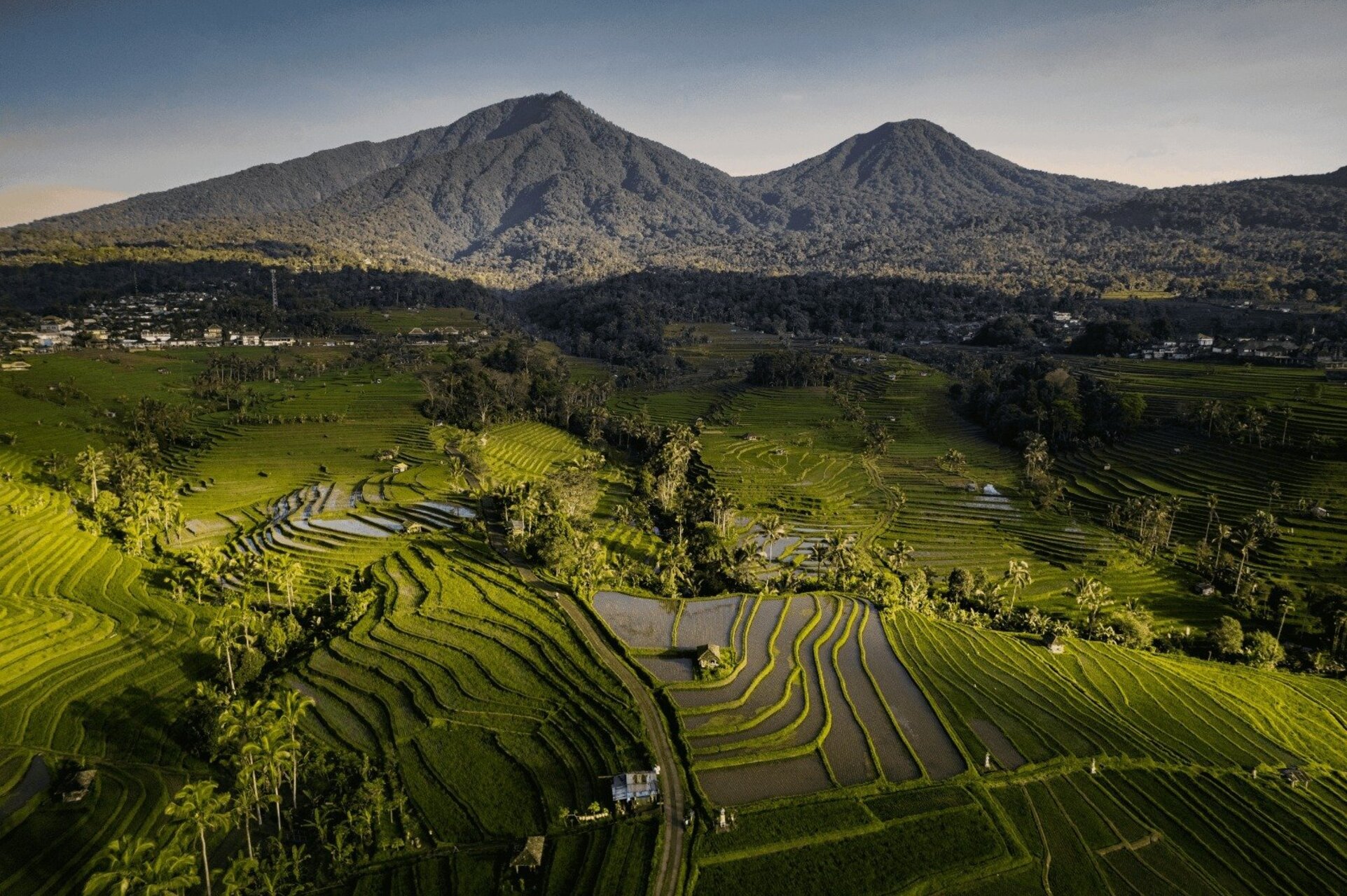 Salinan jatiluwih rice terrace (1)